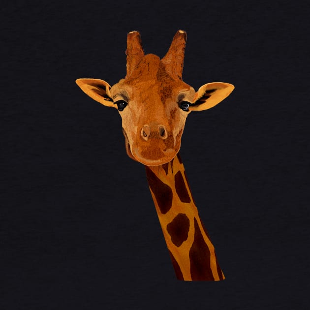 Giraffe by artsandherbs